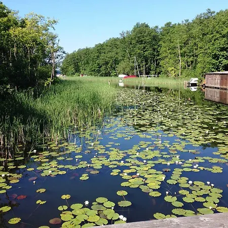 Fleeth See 8640_2
